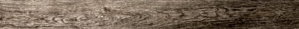 1401--ALLOGA