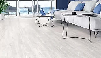 Batı Çam - 702