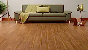 İtalyan Ceviz - 4500